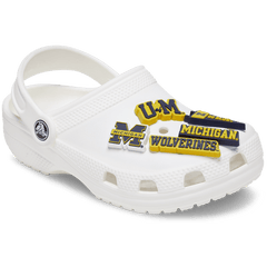 University of Michigan 5 Pack Jibbitz™ charms