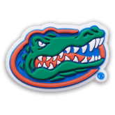 University of Florida Jibbitz™ charms