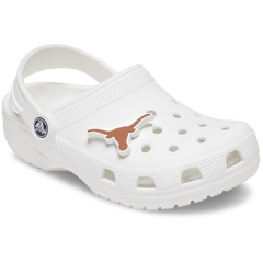University of Texas Jibbitz™ charms