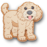 b'Golden Doodle Puppy Jibbitz Shoe Charm'