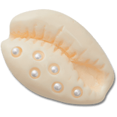 Pearl Puka Shell Jibbitz™ charms