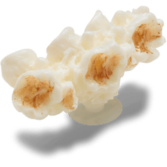 Realistic Popcorn 2 Jibbitz™ charms