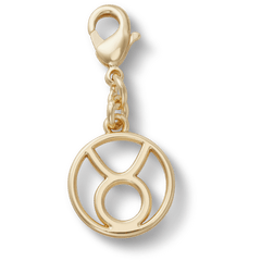 Taurus Charm Jibbitz™ charms