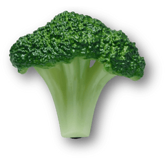 Realistic Broccoli Jibbitz™ charms