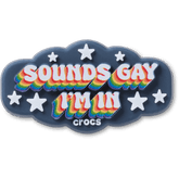 Sounds Gay Im In Jibbitz™ charms