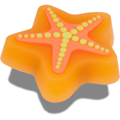 Lights Up Starfish Jibbitz Shoe Charm