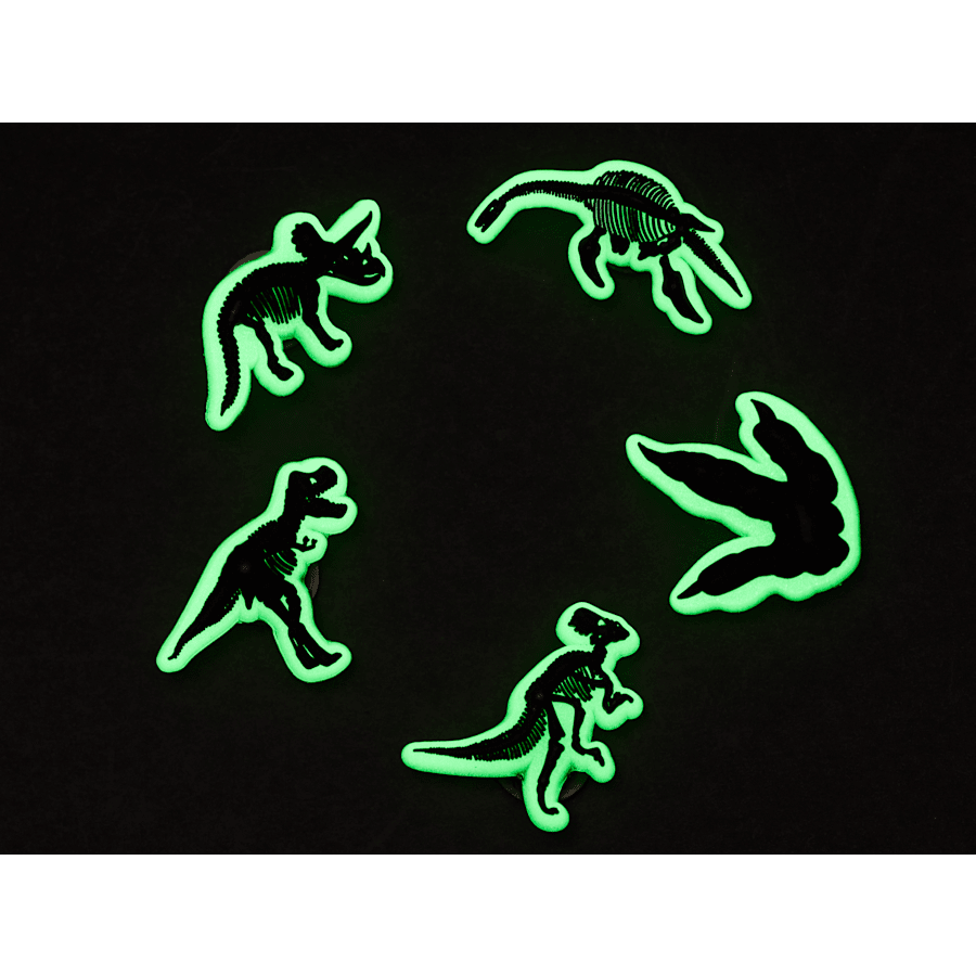 Glow In The Dark Dino 5 Pack Jibbitz Shoe Charm