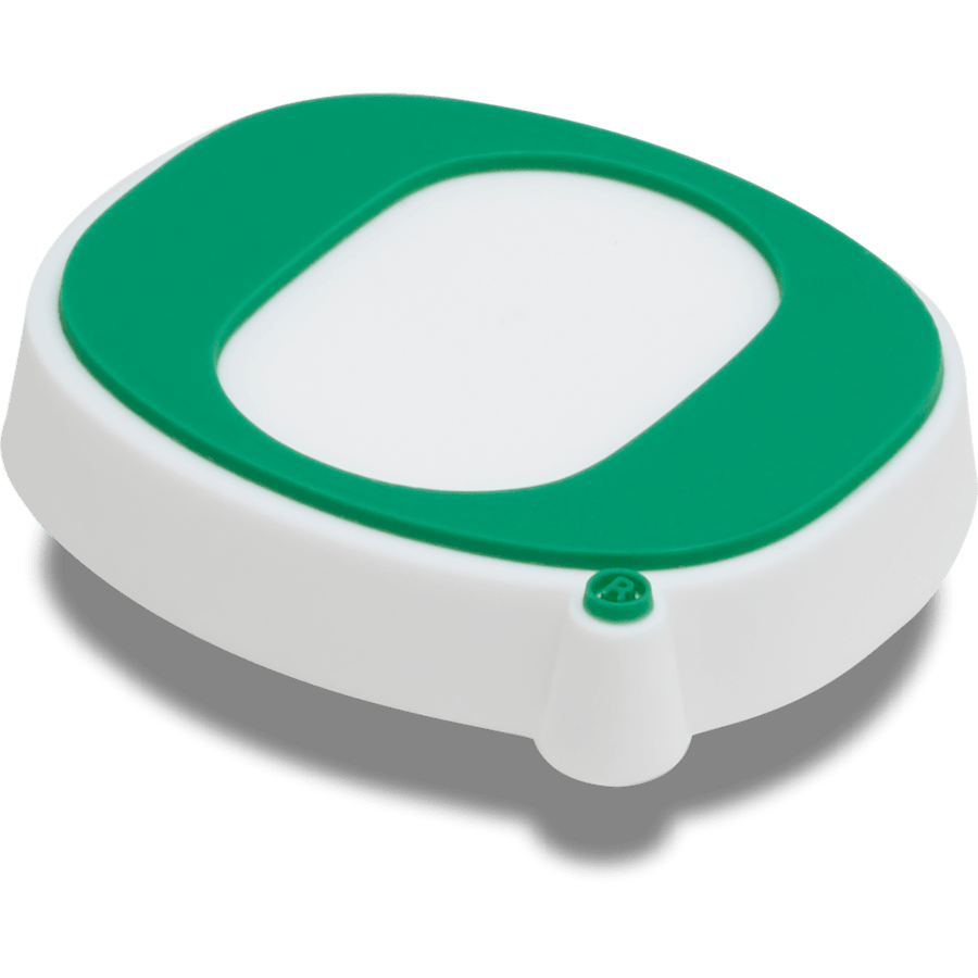 University of Oregon Jibbitz™ charms