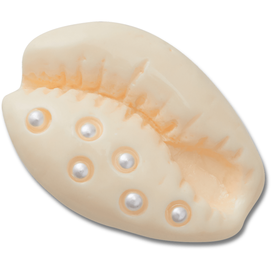 Pearl Puka Shell Jibbitz™ charms