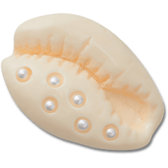 Pearl Puka Shell Jibbitz™ charms