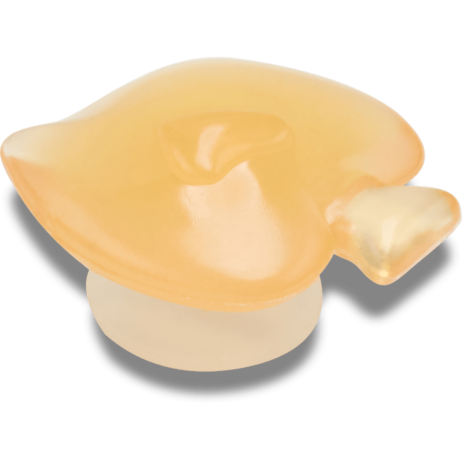 Squish Filled Fish Jibbitz™ charms