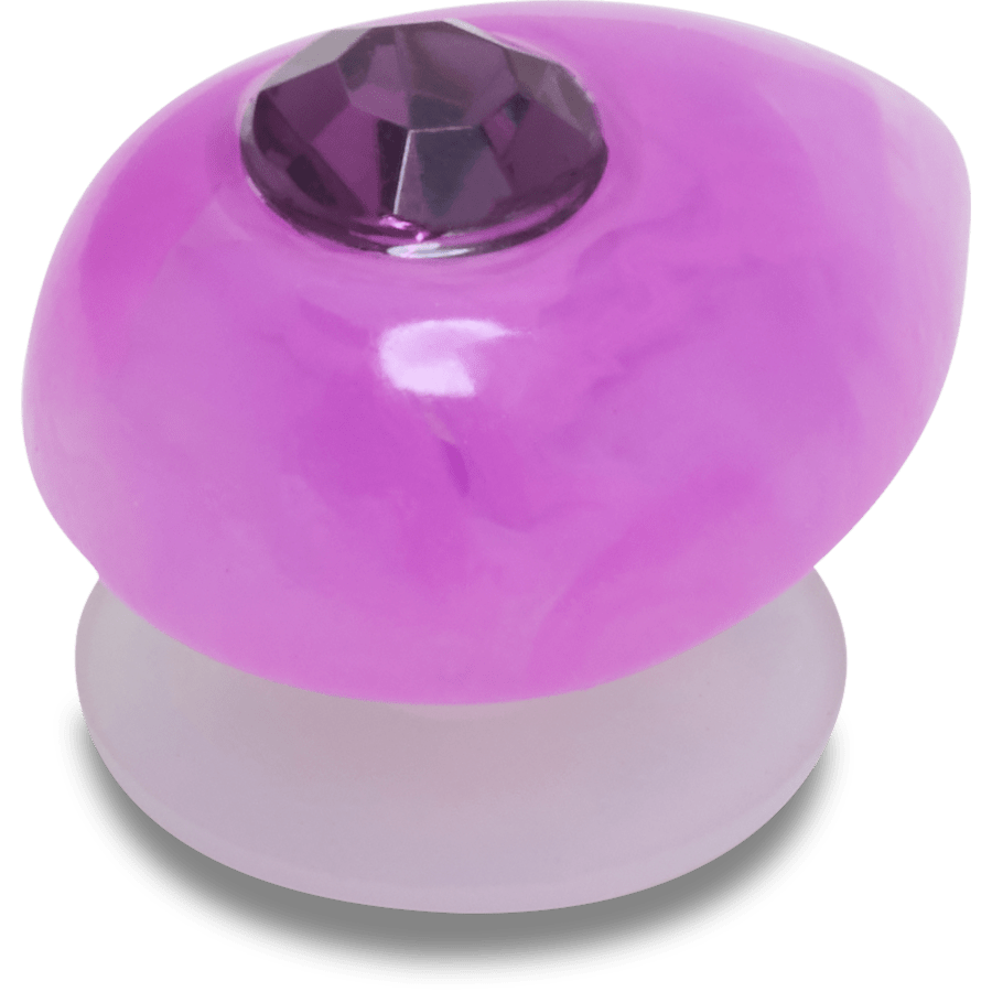 Amethyst February Birthstone Collection Jibbitz™ charms