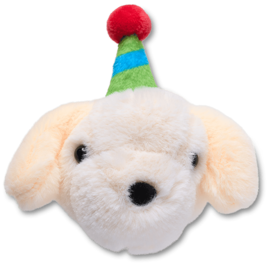 Record Your Own Sound Birthday Jibbitz™ charms