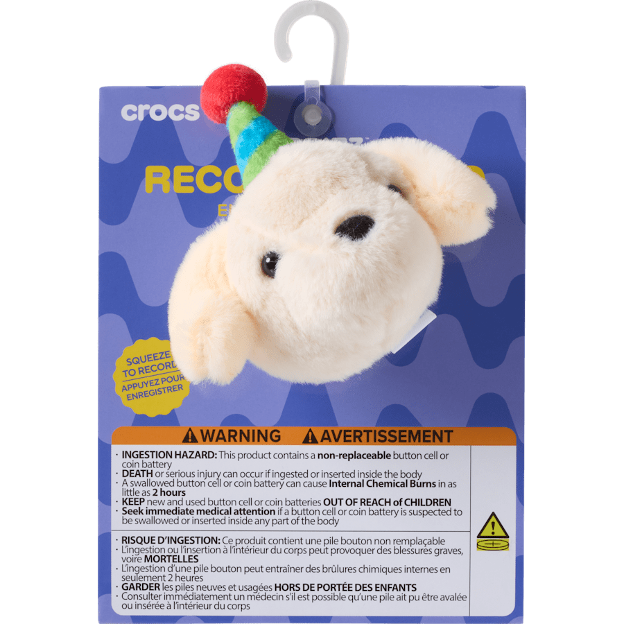 Record Your Own Sound Birthday Jibbitz™ charms