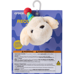 Record Your Own Sound Birthday Jibbitz™ charms