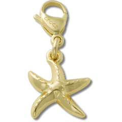 Gold Starfish Charm Jibbitz charm