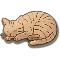 Tabby Cat Jibbitz™ charms
